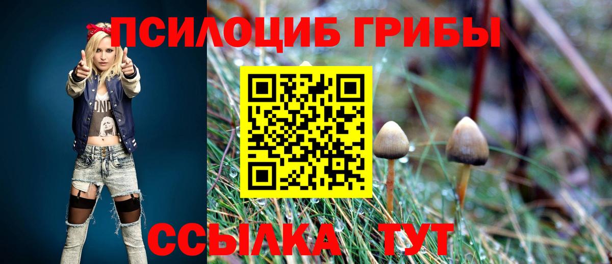 Галлюциногенные грибы Cubensis Прокопьевск