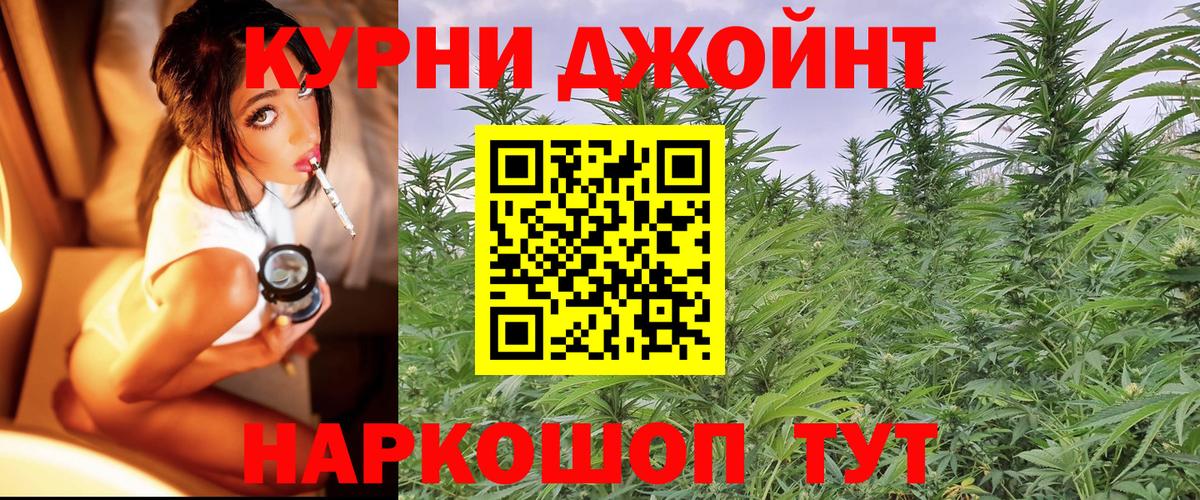 Бошки марихуана MAZAR Прокопьевск